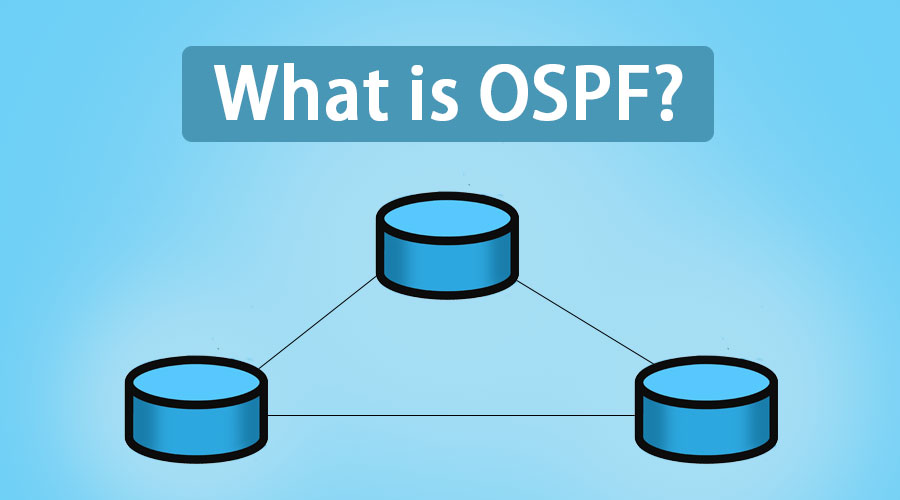 What is OSPF